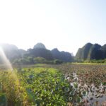 Tam Coc Ninh Binh